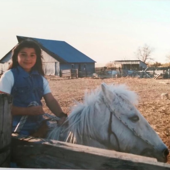 The Spitfire - Picture 2 of 14